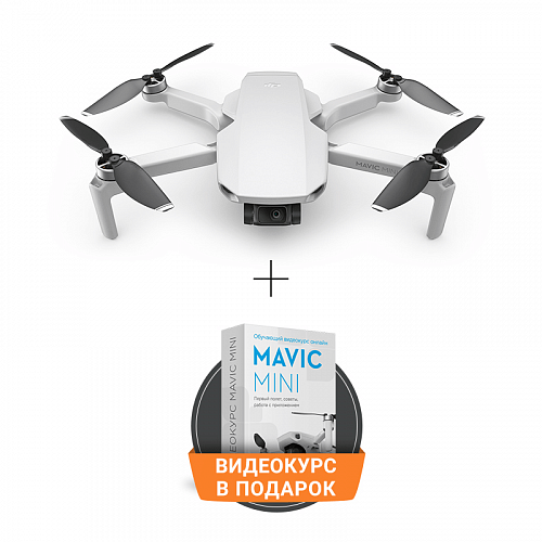 Квадрокоптер DJI Mavic Mini 